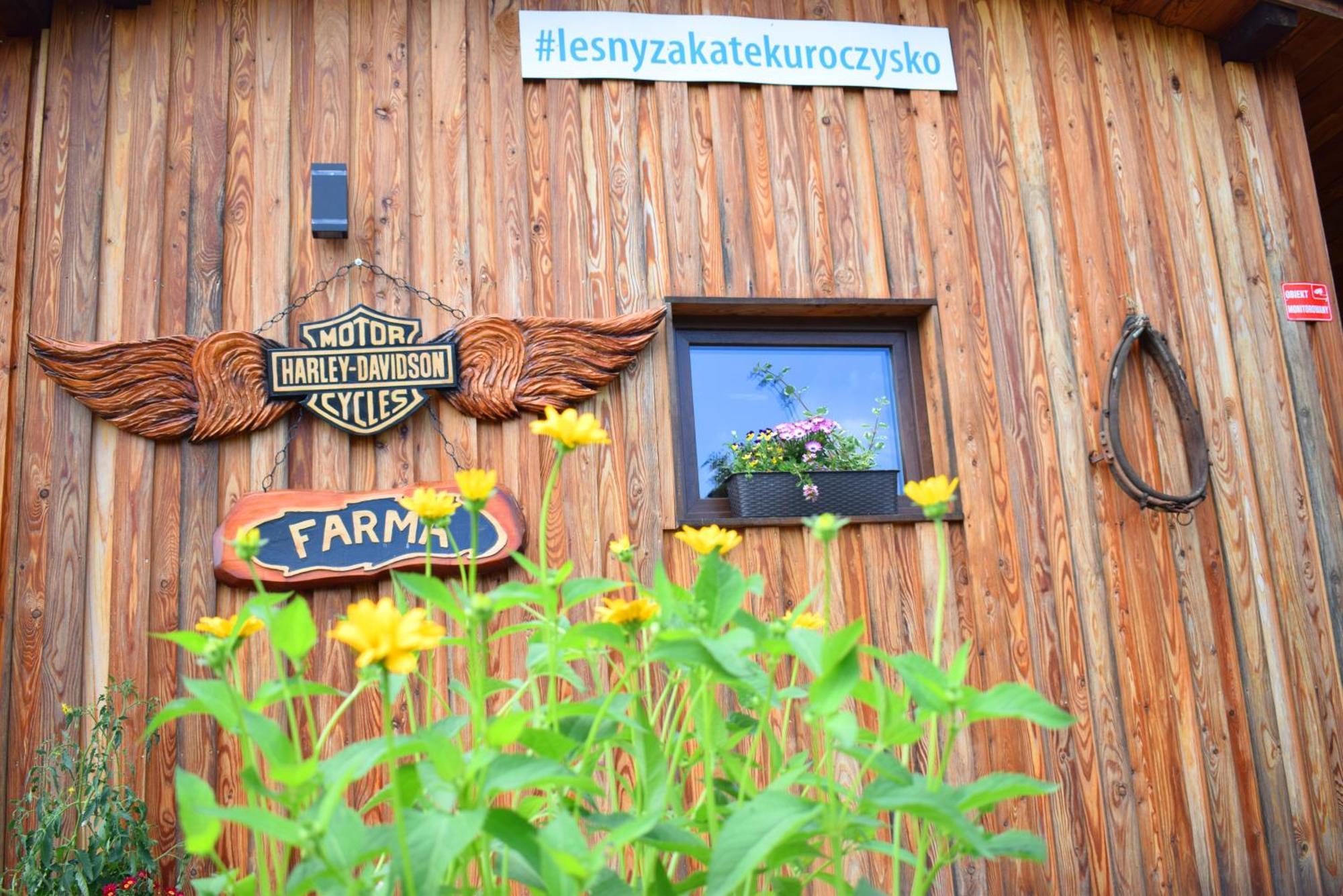 Lesny Zakatek Uroczysko -apartamenty Nowoczesnej Stodoly Apartment *